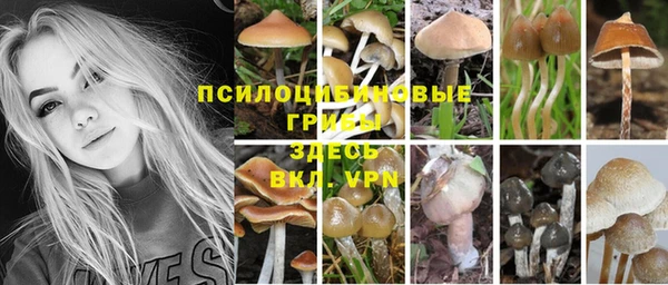 гидропоника Дмитров
