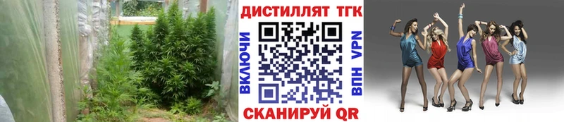Дистиллят ТГК концентрат  Дивногорск 